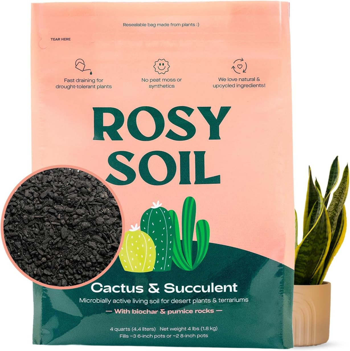Cactus & Succulent Potting Mix, 4 Quarts | Organic Succulent Potting Soil, Chunk