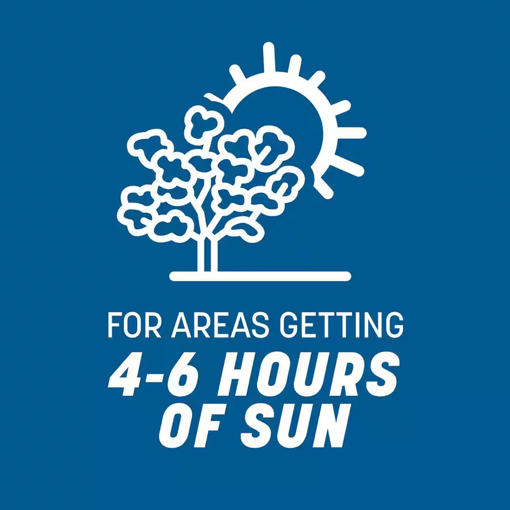 Rebels 3 Lbs. 1000 Sq. Ft. Sun and Shade Grass Seed Blend