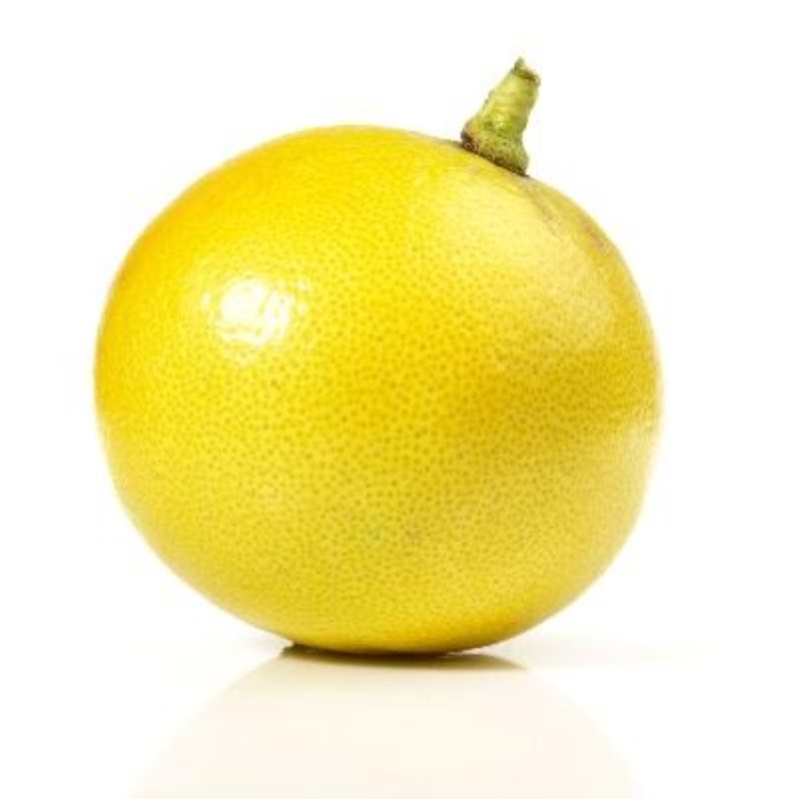 Bergamot Semi-Dwarf Orange Tree 24″-36″ tall, grafted Not for Az, Fl, La, Tx, Ak