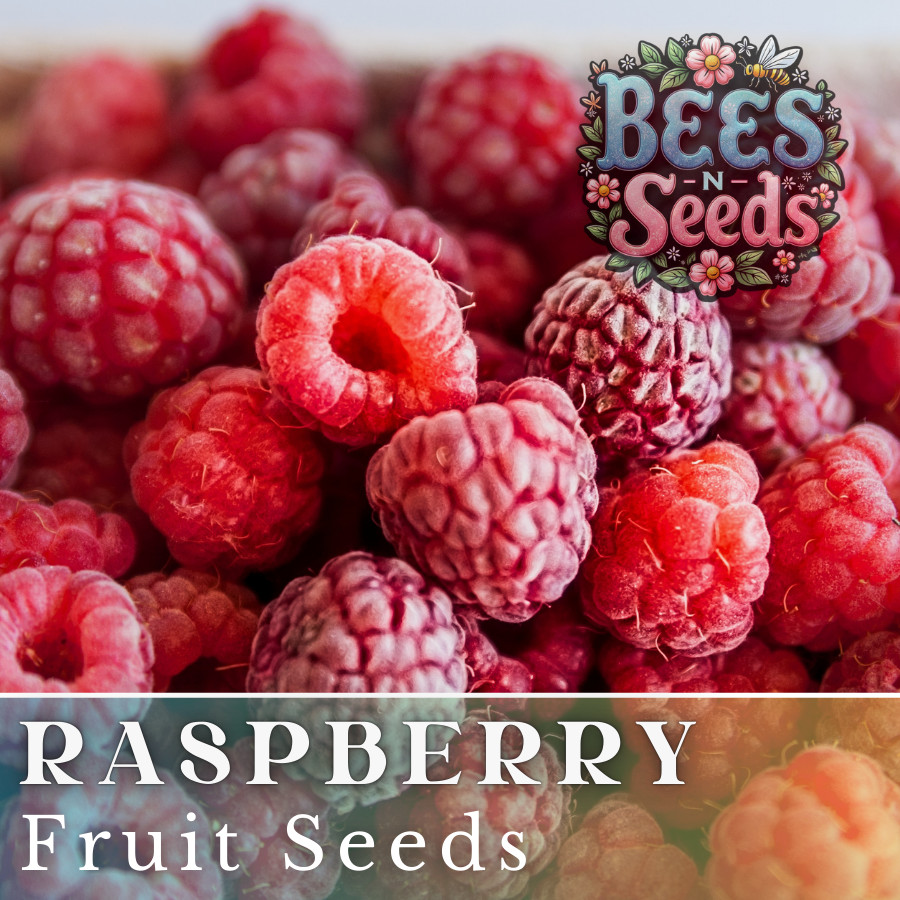 Prism Raspberry Seeds 125, 300, 750 Seeds Fruit Seeds, Non GMO, Bulk Seeds