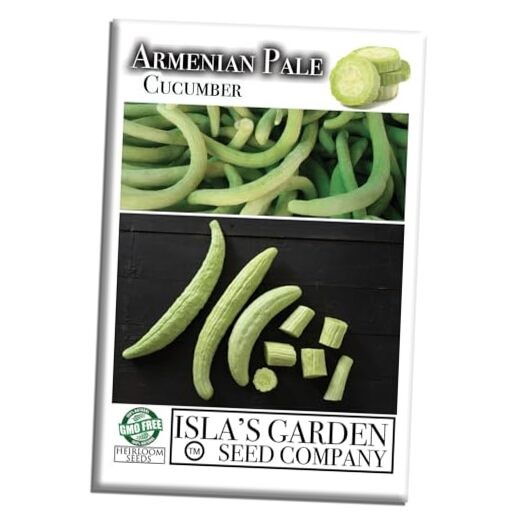 Armenian Pale Green Cucumber Seeds (Cucumis sativus) – 100+ Non-GMO & Heirloom