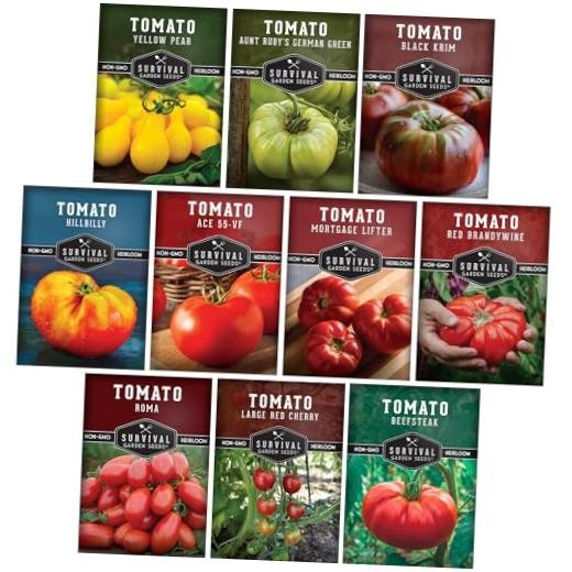 Tomato Seeds Variety Pack for Planting | 10 Heirloom Non-GMO Varieties,
