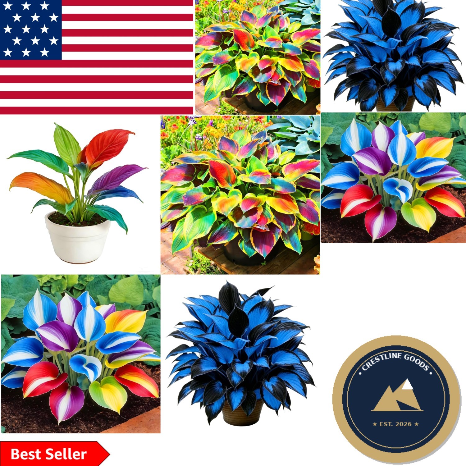 Rare 310+pcs Hosta Flower Seeds – Vibrant Perennial Mix for Shaded Gardens