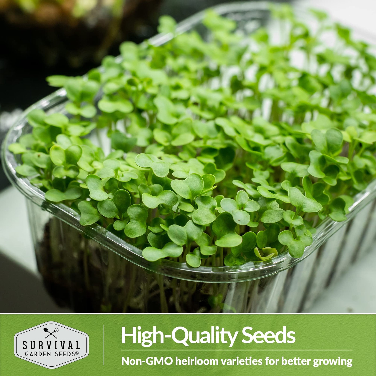 Broccoli Microgreen Seeds for Planting – Non-GMO Heirloom Green