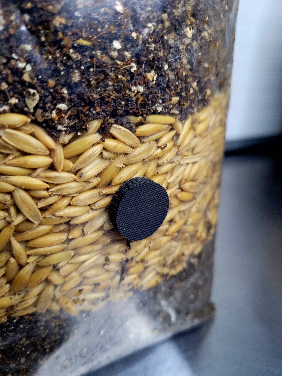 Premium Exotic Dung ALL-IN-ONE Mushroom Grow Kit 1 Pack Kit 3.5lb Bag (OATS) 🍄