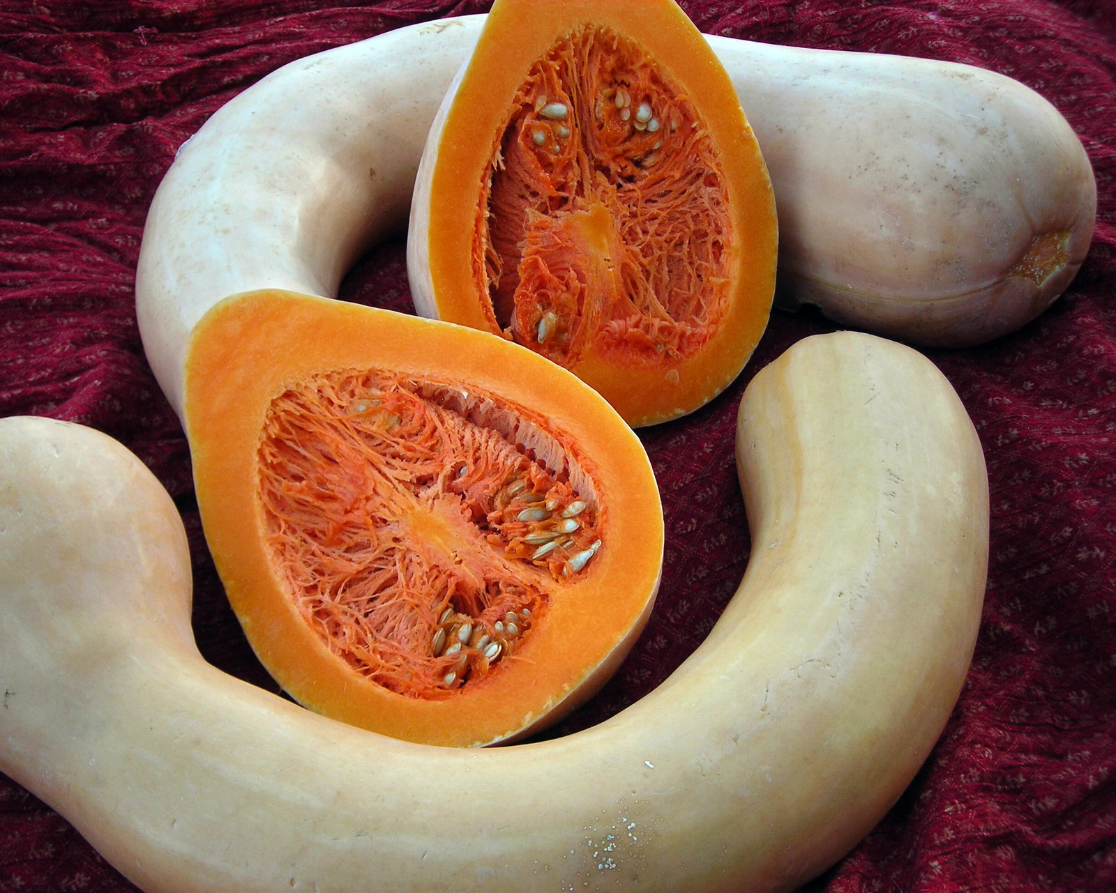 Turkey Neck Pumpkin Seeds |Pennsylvania Dutch Long Crookneck Pumpkin Squash 2024