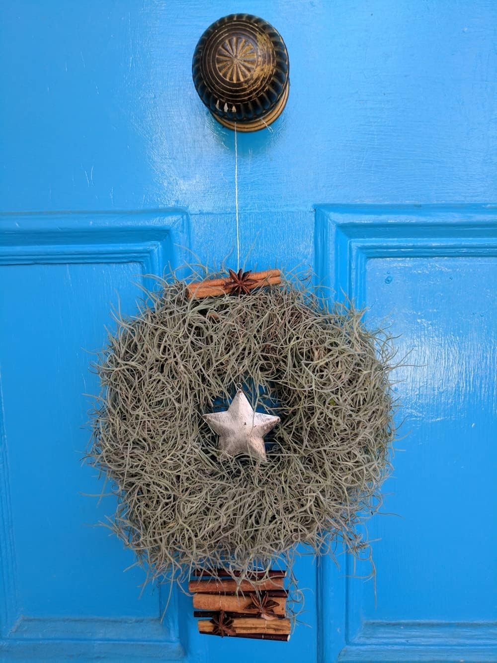 Versatile 250 Cubic Inches Spanish Moss – Ideal for Plants and Creative Crafts
