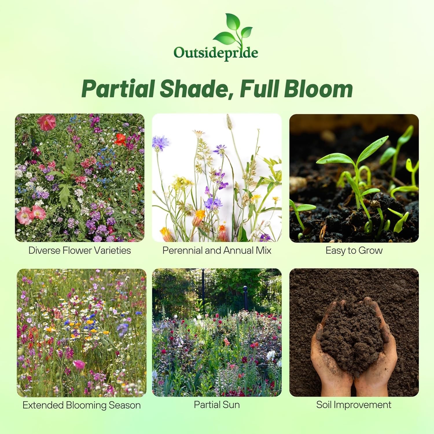 5 LBS Partial Shade Wild Flower Seed Mix For Planting Outdoors