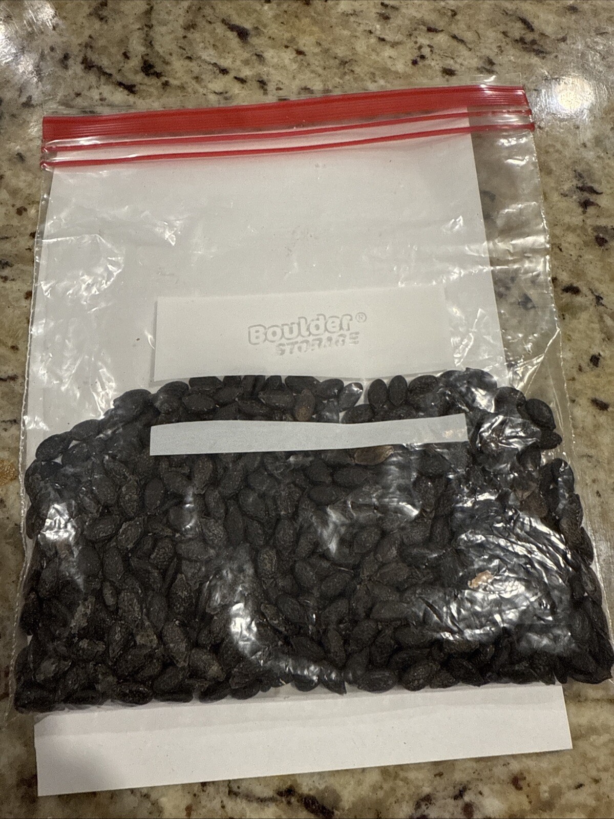 Angled Luffa Seeds – Ridged Sponge Gourd Mướp Khía USA 100 Seeds Apex