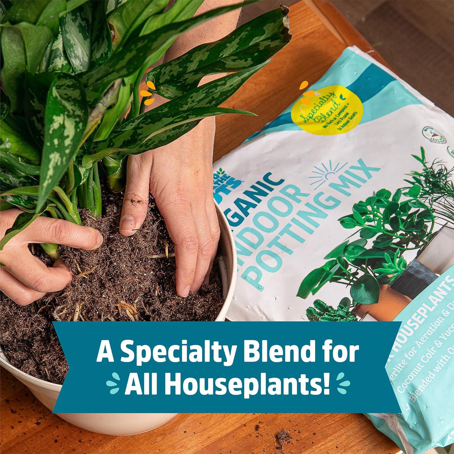 Organic Indoor Potting Mix (6 Quart) for Healthy Houseplants, USA Made