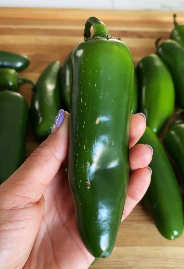 20 GRANDE JALAPENO PEPPER SEEDS ~ heirloomseedguy ~ NON-GMO ~ 2026 ~ USA