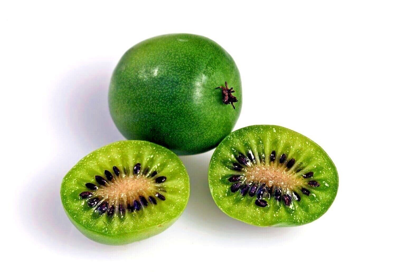 Kiwi Berry (Actinidia Arguta Issai) Seeds | Cold Hardy | Kiwiberry Sz: 10-100