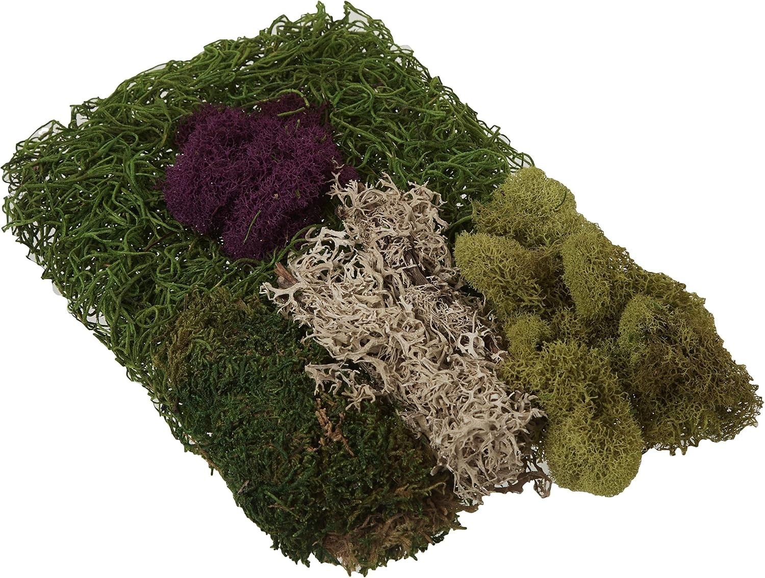 Versatile 80.75in³ Moss Mix Bag – Perfect for Floral Arrangements & Terrariums