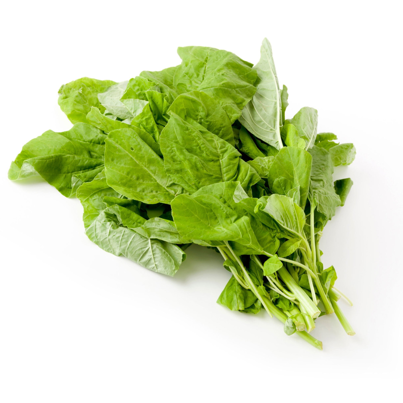 Green Amaranth – White Leaf seeds, Open pollinated, Heirloom, Non-GMO