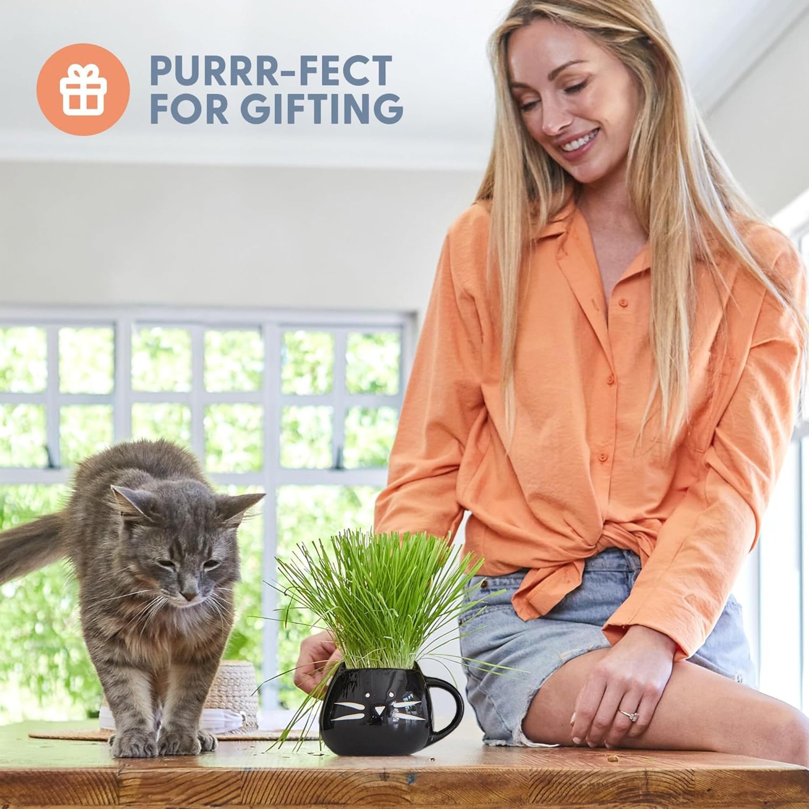 Organic Cat Grass Growing Kit for Indoor Cats Natural Hairball Remedy