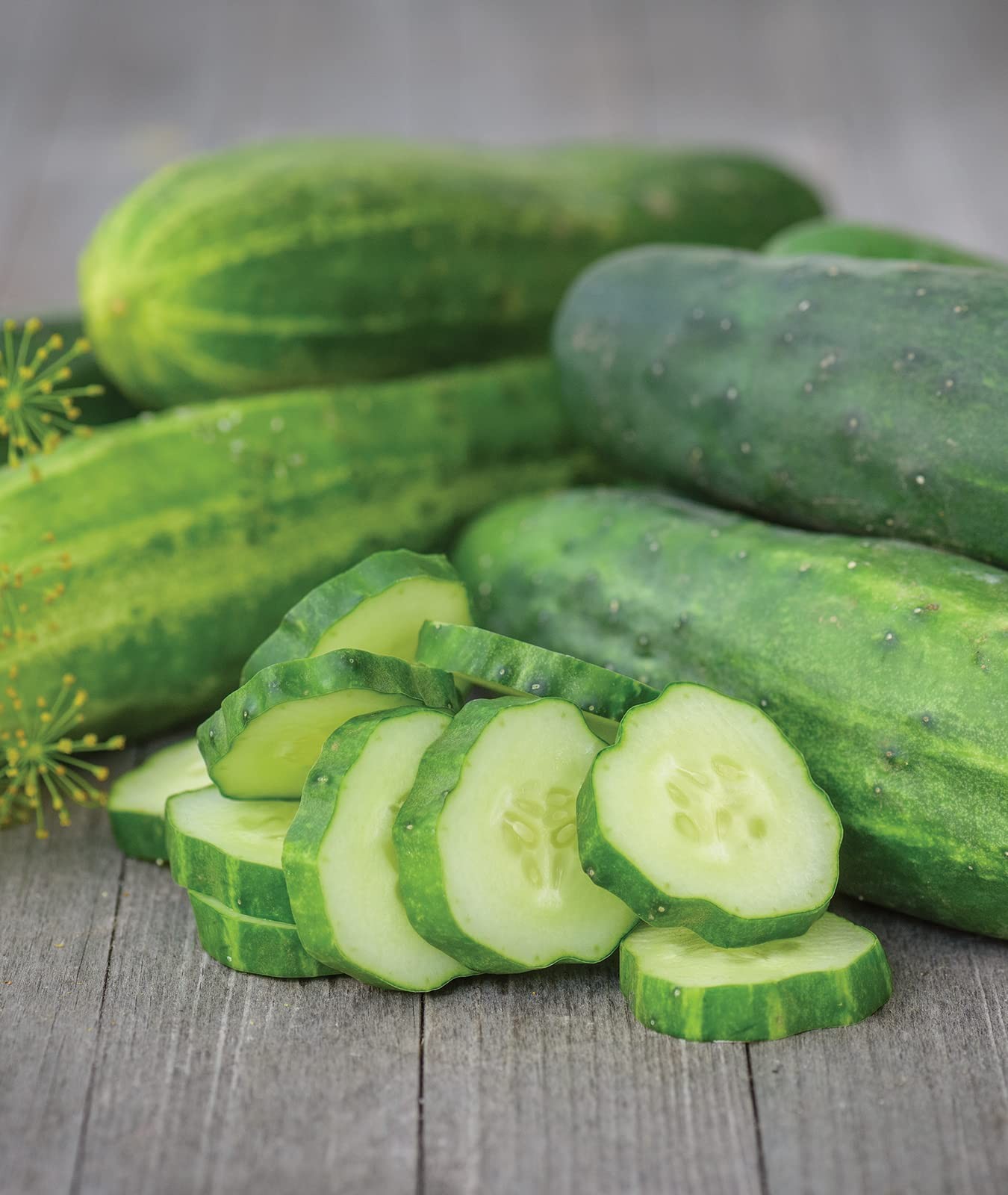 ‘Straight Eight’ Slicing Cucumber Seeds, 200 NonGMO seeds, Heirloom