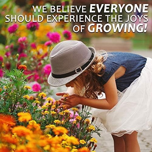 Mountain Valley Seed Co Rocky Mountain Wildflower Seeds Mix 1 Lb Seed Pouch