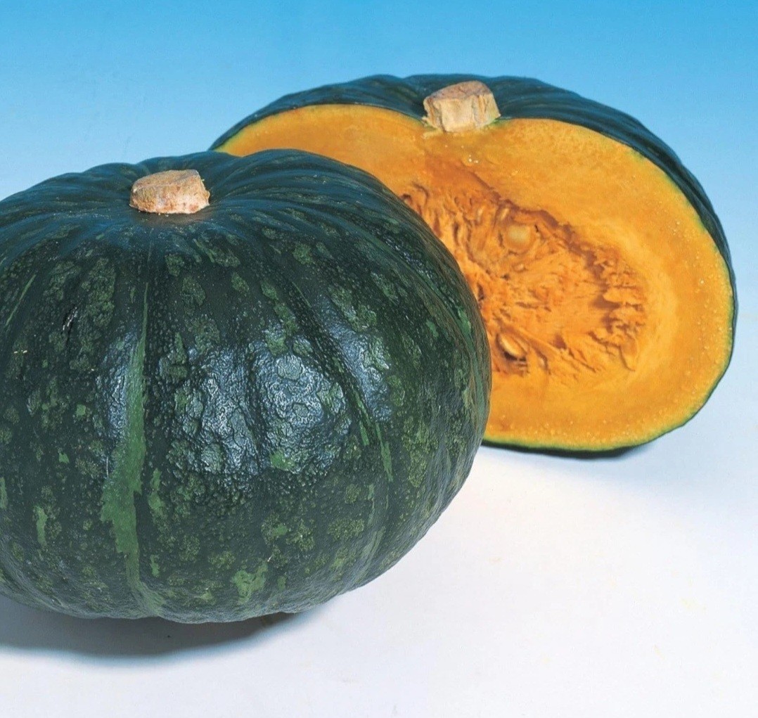 6 type of Seeds. Butternut squash, okra, Malabar Spinach,Kabocha, seminole gourd