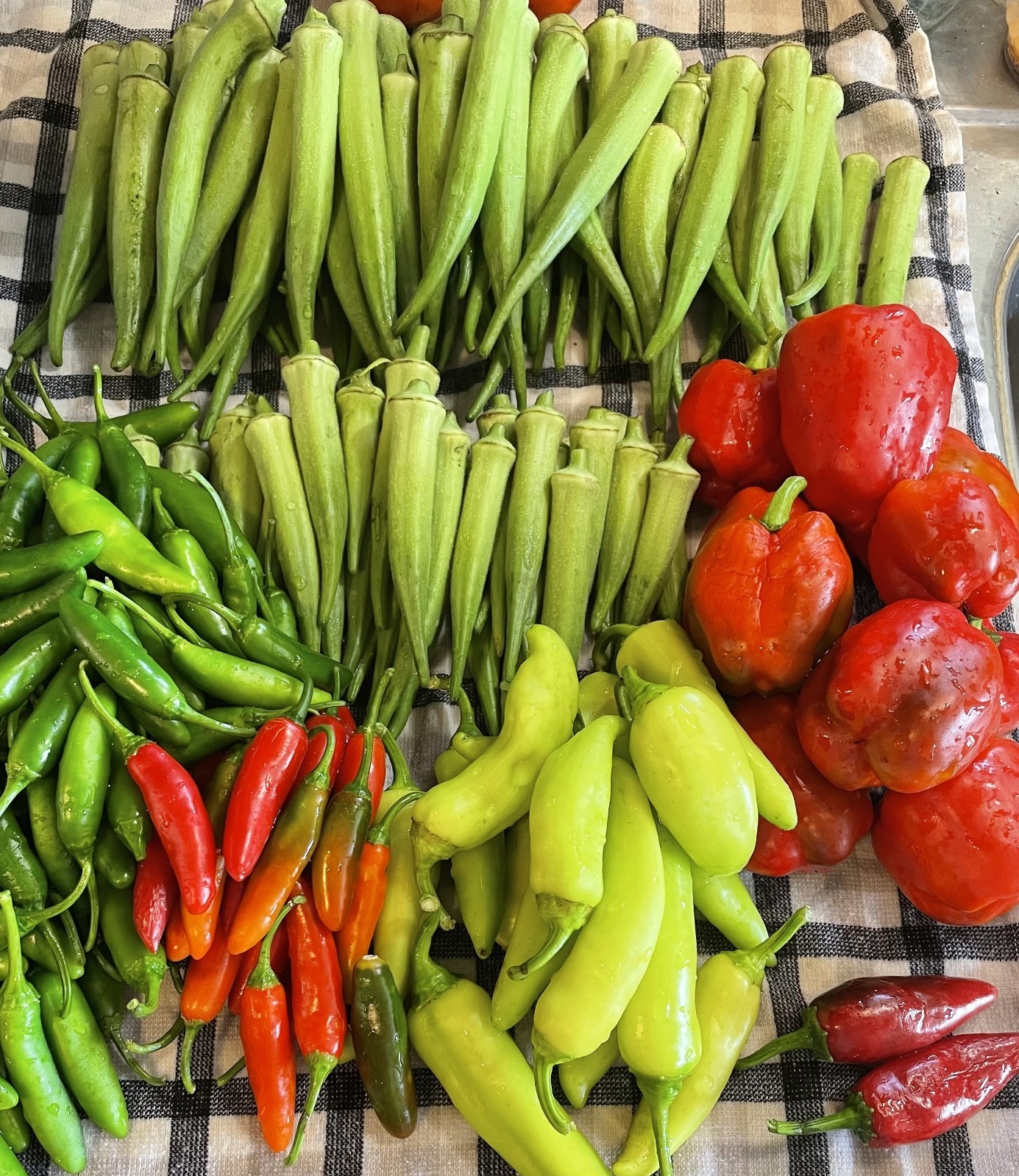 Okra Seeds, 30 Spineless Okra Seeds, Smooth Okra Seeds Better Harvest