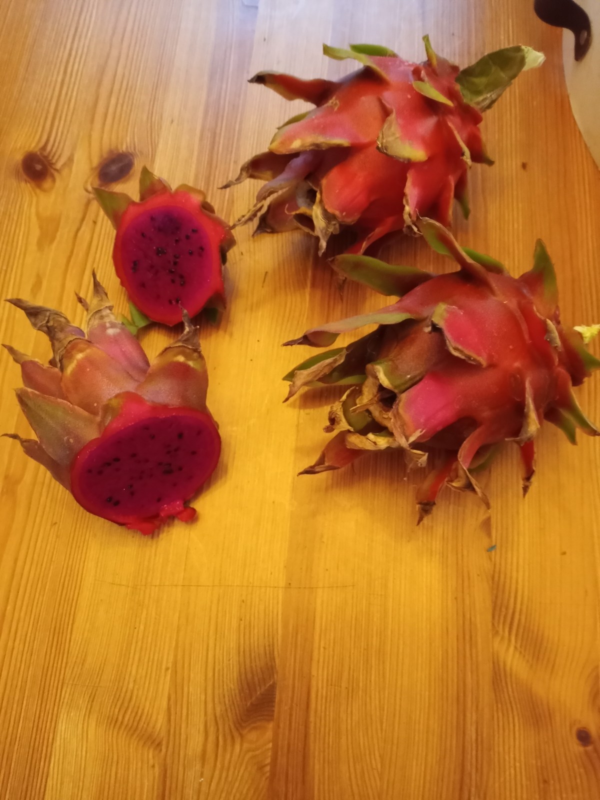 Dragon fruit plant cuttings:(10) in a box 14-20 inches long and fresh