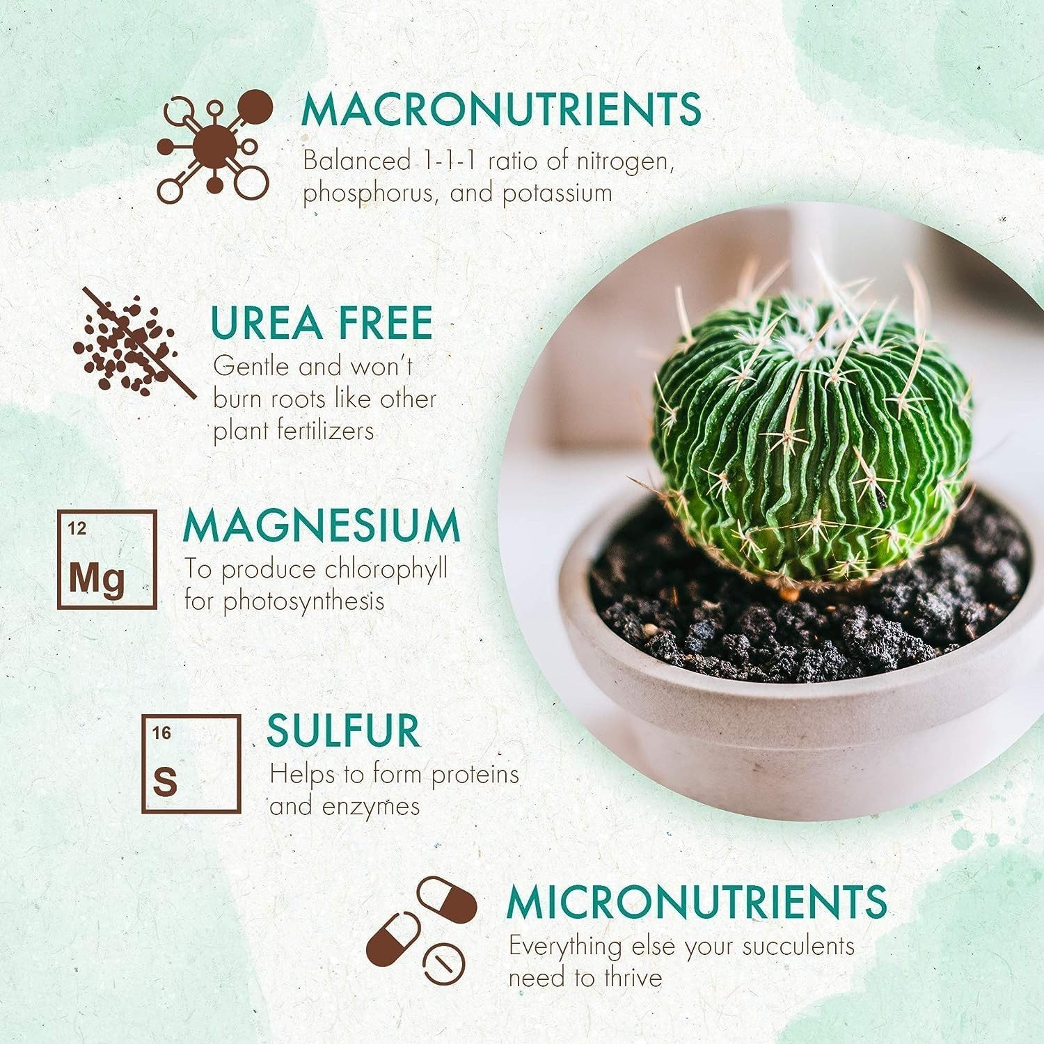 All-Natural 5 oz Succulent & Cactus Fertilizer – Long-Lasting Nutrient Booster