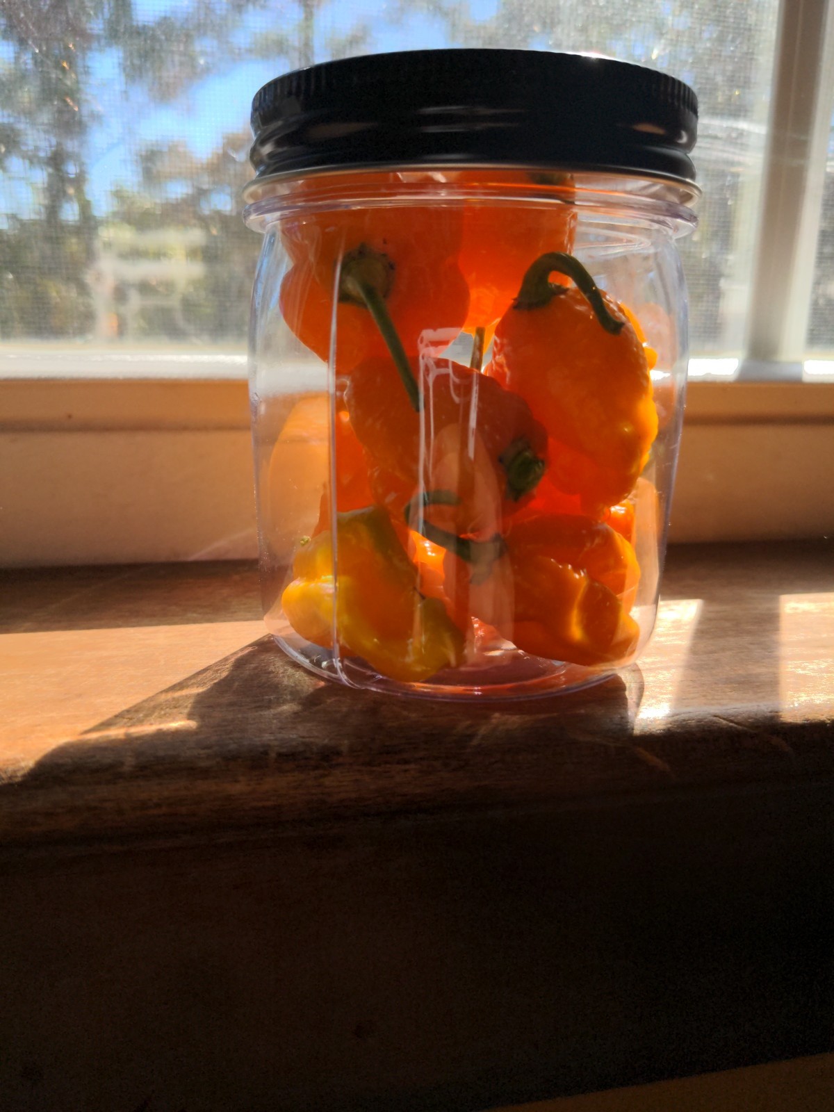 Garden Fresh Yellow carolina reaper pepper