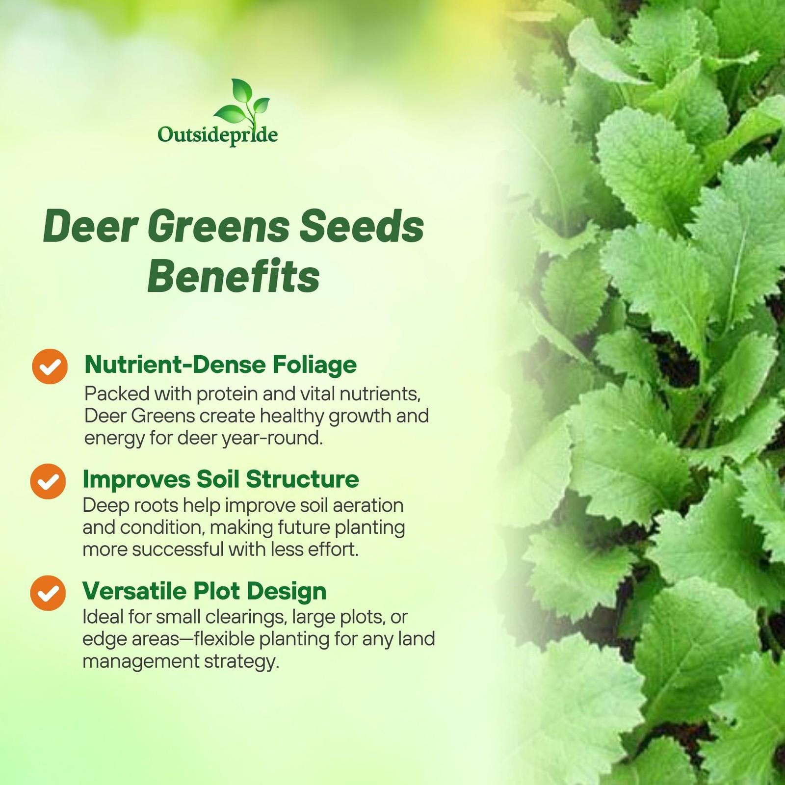 10 LBS Deer Greens For Deer Food Plots