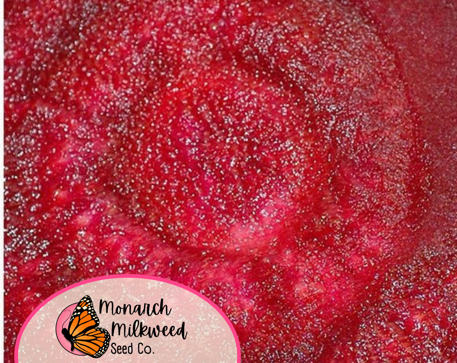 550+ Beet Seeds ‘Detroit Dark Red’ | Heirloom, Non-GMO, Vegetable Garden Seeds