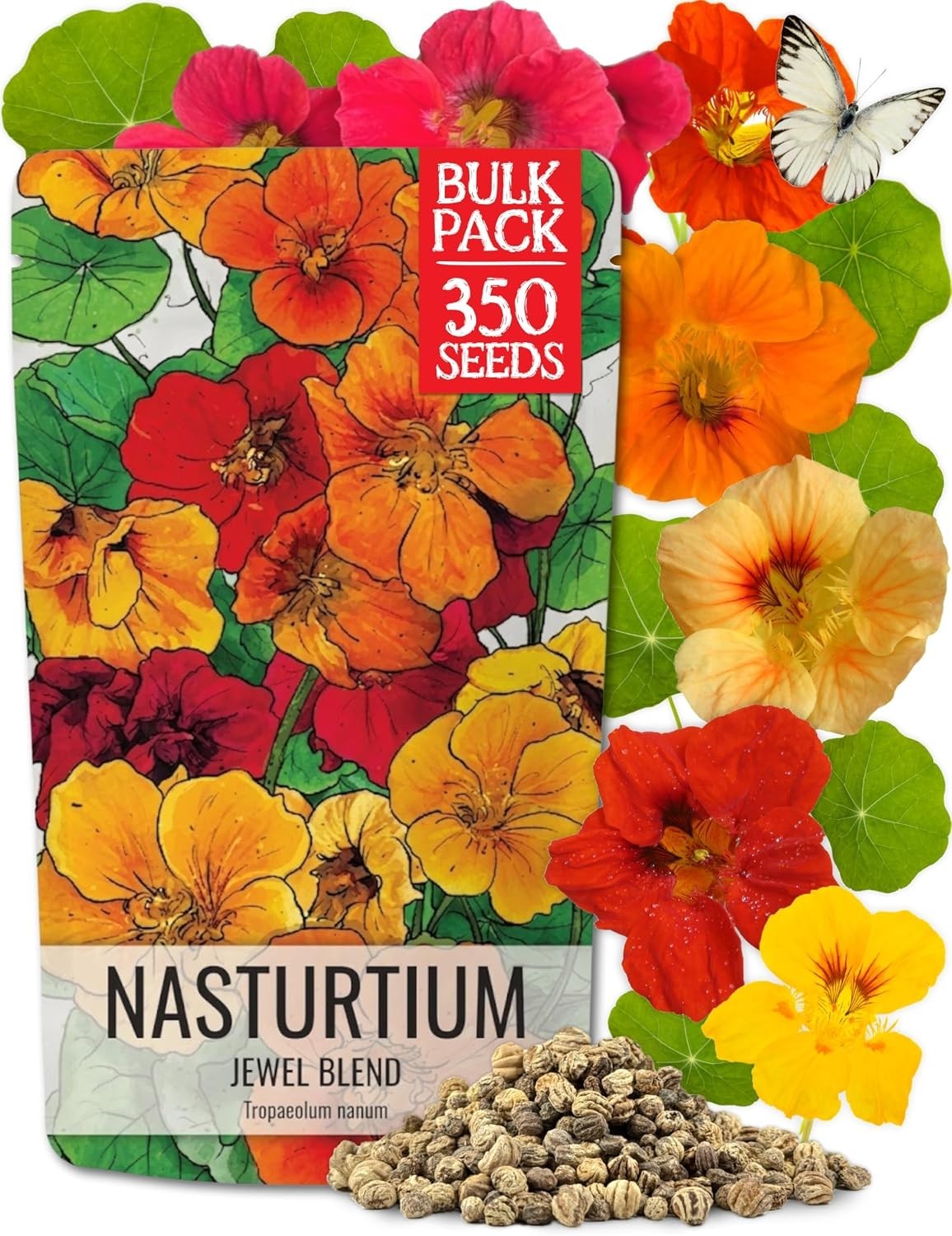 Seed Needs Nasturtium Seeds Jewel Mix Heirloom 1.5 Ounce Bulk Pack