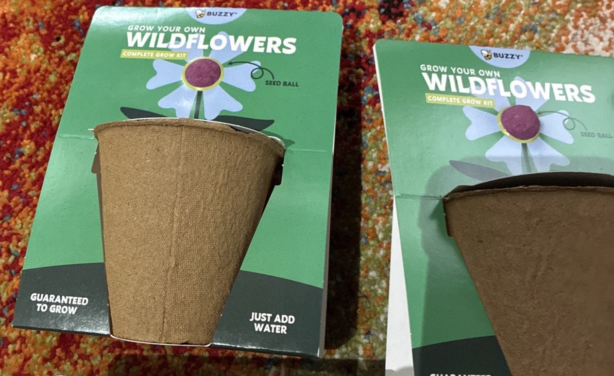 BUZZY Seeds Mini Pots 6 Pack with Plant Seeds For Wild Flowers!