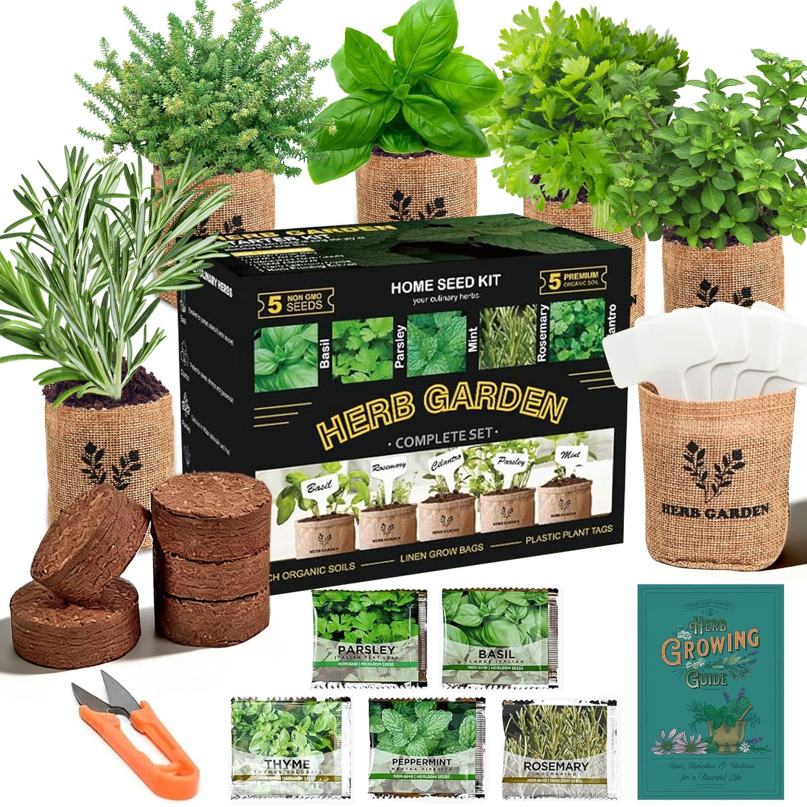 5 Herb Indoor Starter Kit, Complete Planting Set for Kitchen Herb Garden DIY …