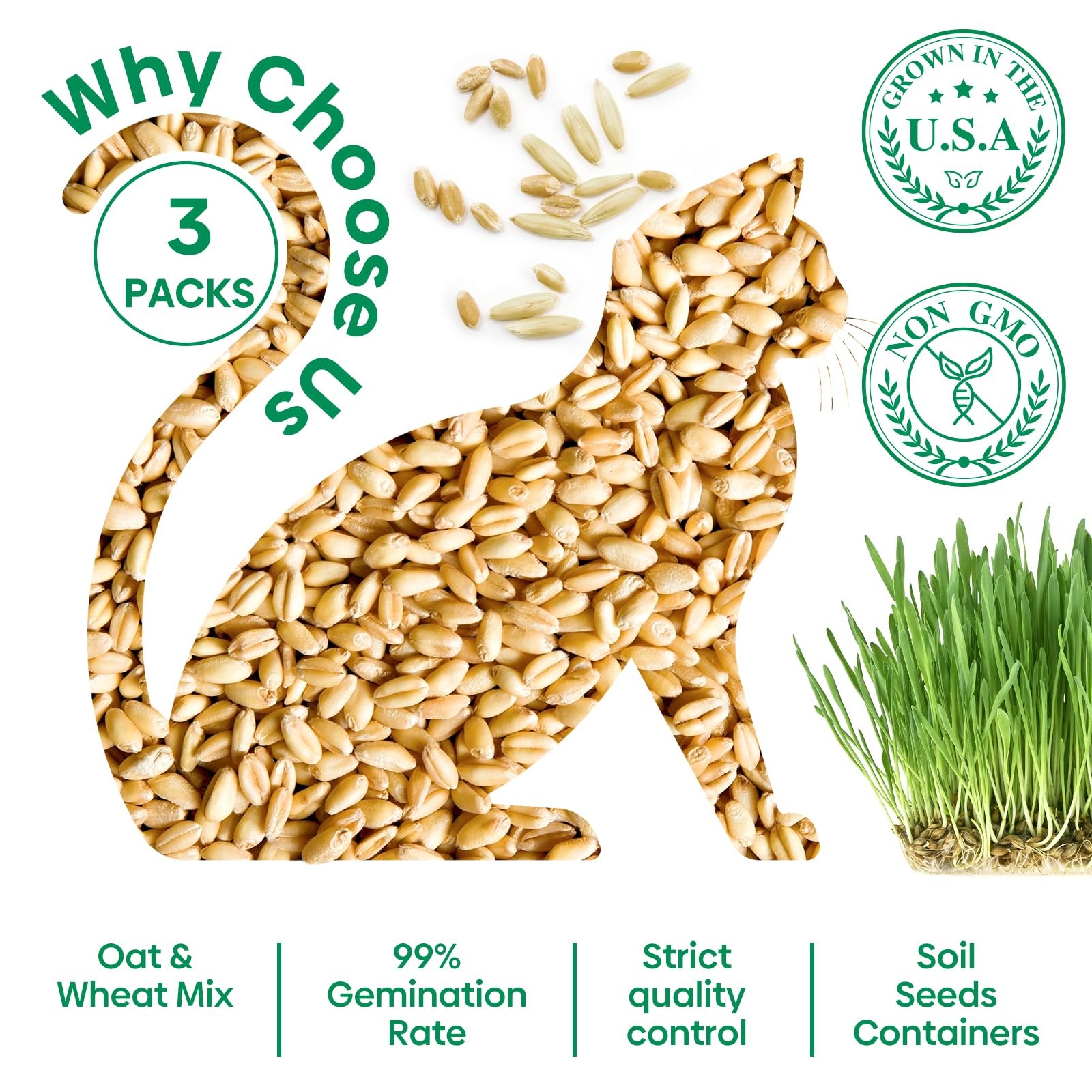 Indoor Cat Grass Seeds Kit Organic, NonGMO, High Germination Rate, BPA Free