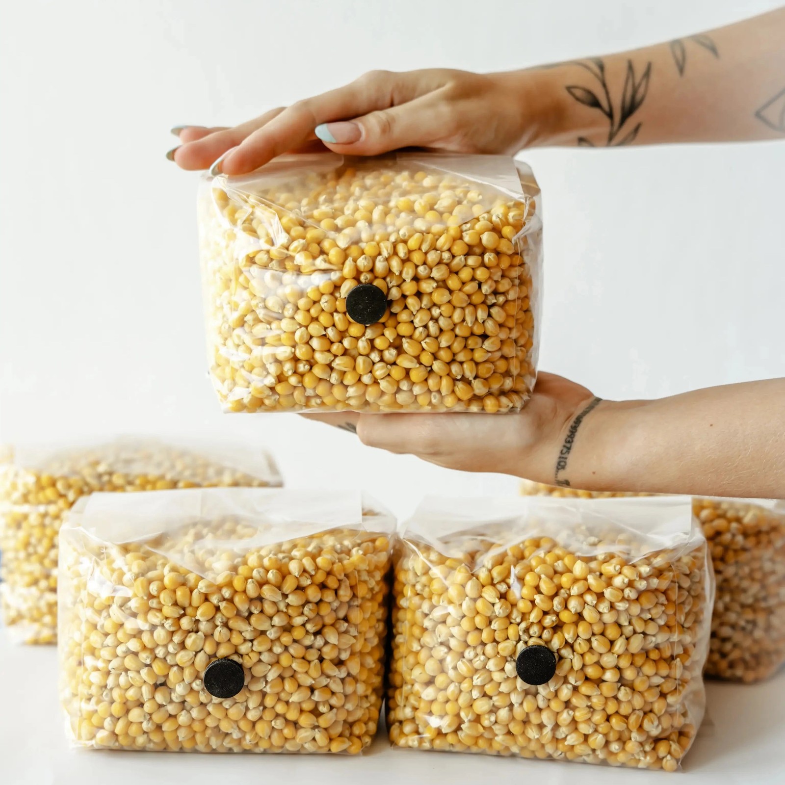 6 Pack | 3lb Drippy Corn Grain Spawn