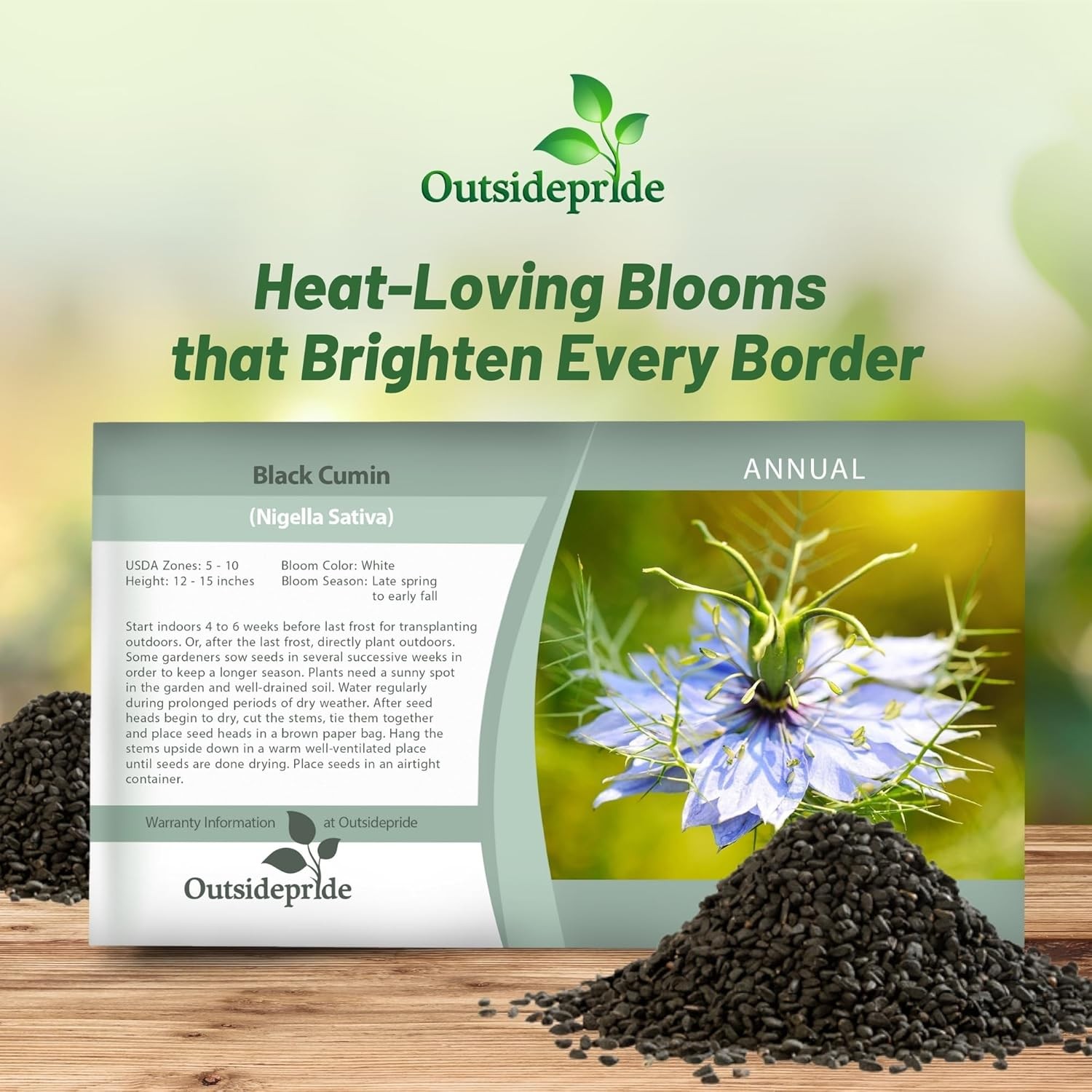 1000 Seeds Cumin Seeds – Black Cumin Herb Seed