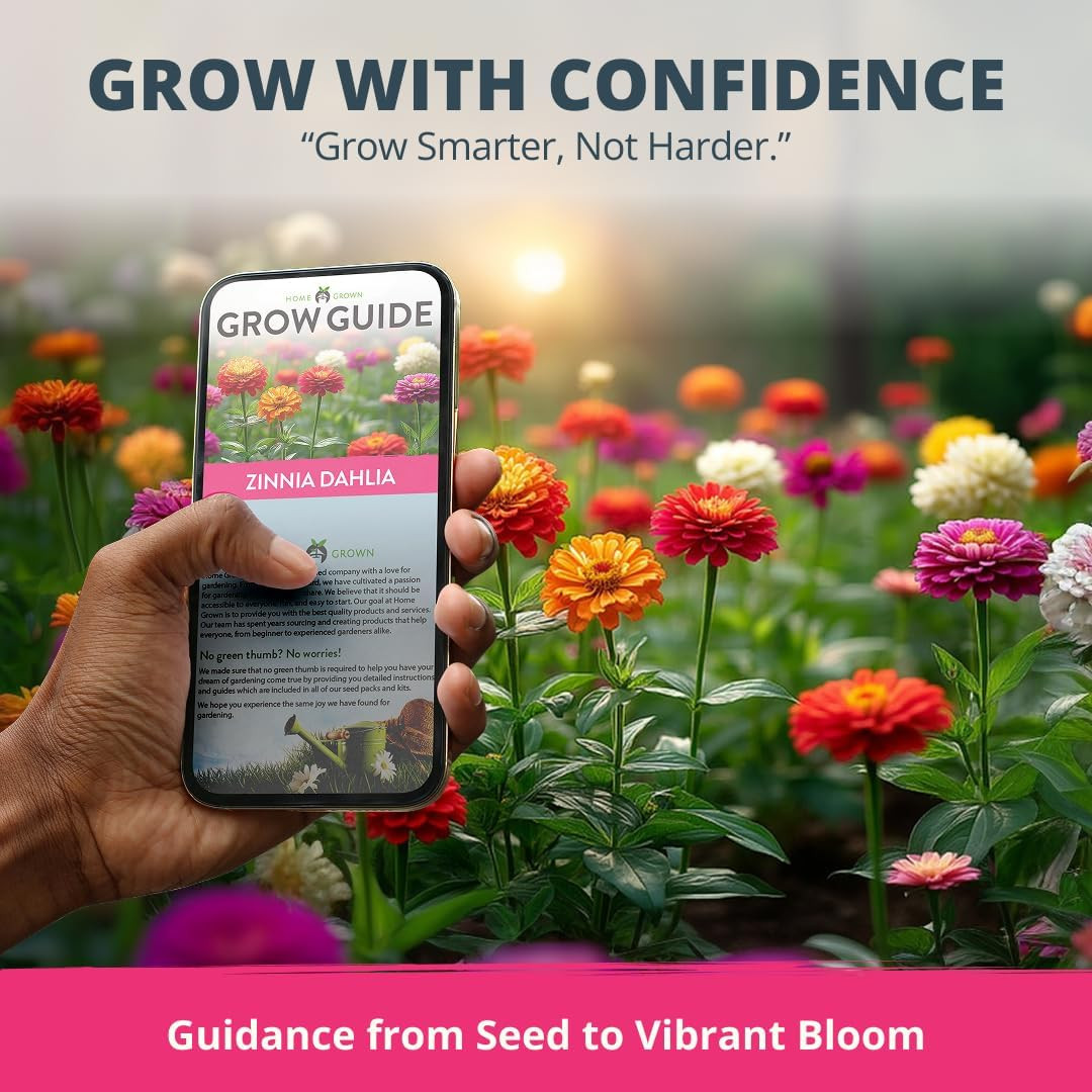 Zinnia Dahlia Seeds Pack for 2026 Non GMO 524 Flower Seeds | Vibrant Zinnia Eleg
