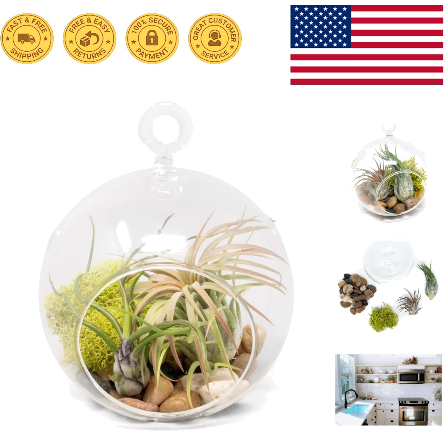 Modern Flat Bottom Terrarium Kit with Lightweight Glass and Assorted Air Plants