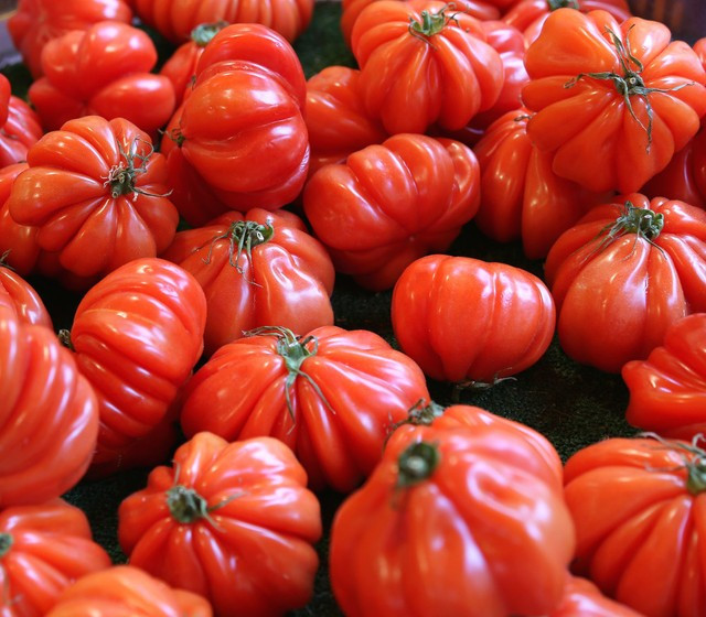 120+ TOMATO SEEDS — ROSS0 SICILIAN —- HEIRLOOM — ORGANIC ——– RARE