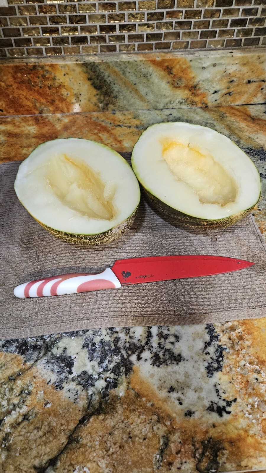 RARE Piel De Sapo Melon Seeds 25+ Santa Claus Melon / FL GROWN / ORGANIC
