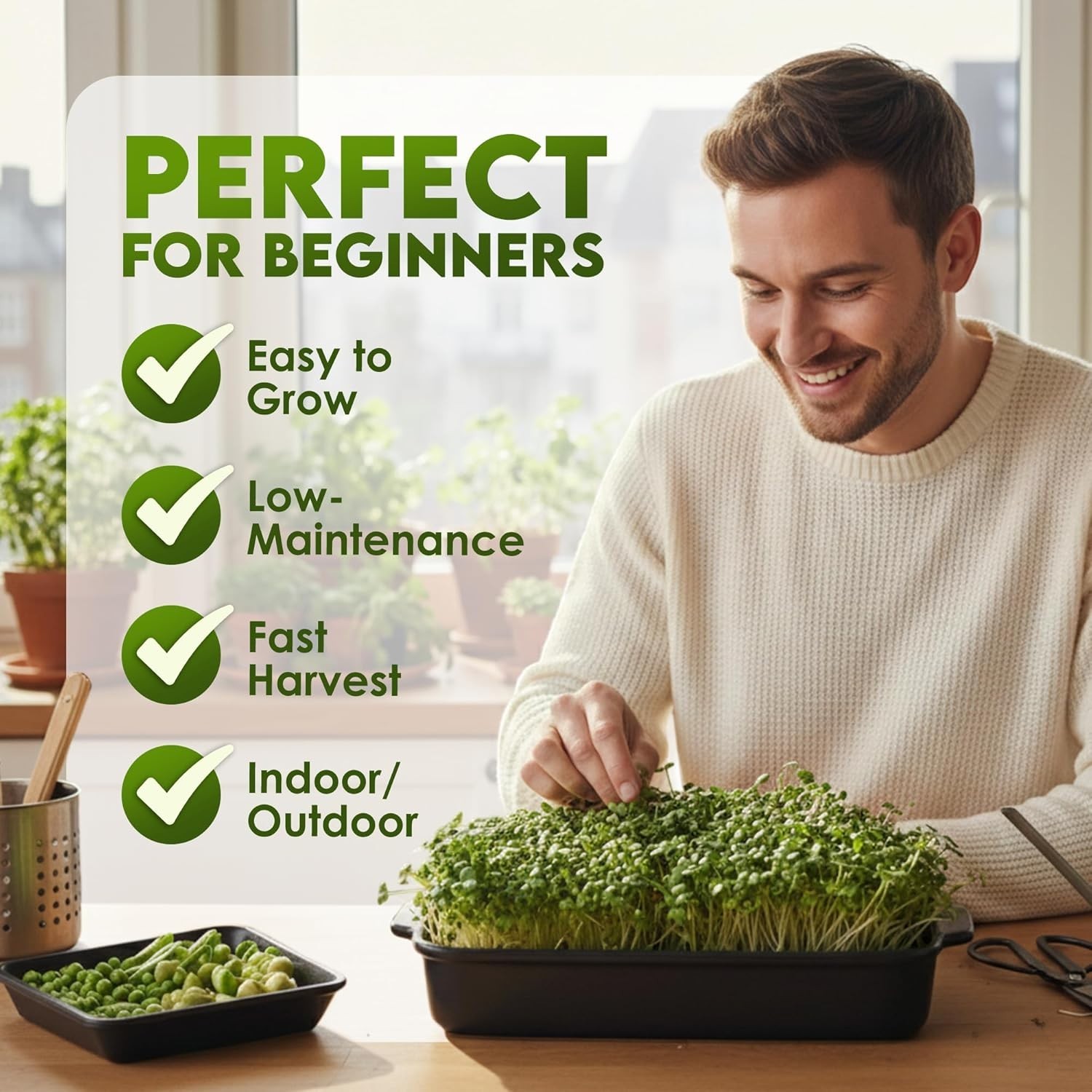 Nature Jim’s Organic Broccoli Sprouting Seeds – Non-GMO, Rich in Sulforaphane, F