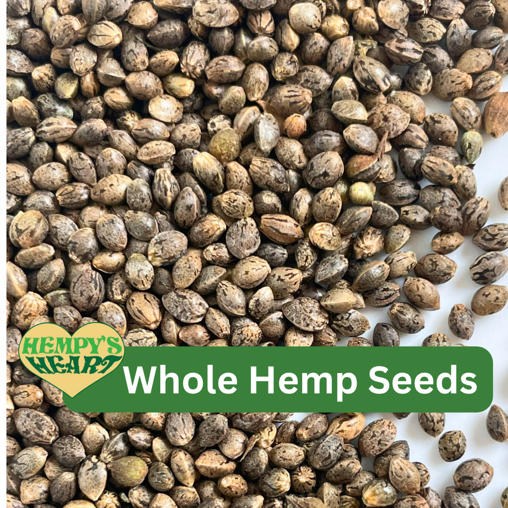 Hemp Seeds for Sprouts & Microgreens