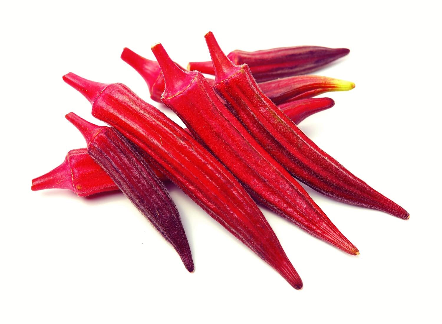 Red Burgundy Okra Seeds, 100 Heirloom Seeds Per Packet, Non GMO Seeds, Botanical