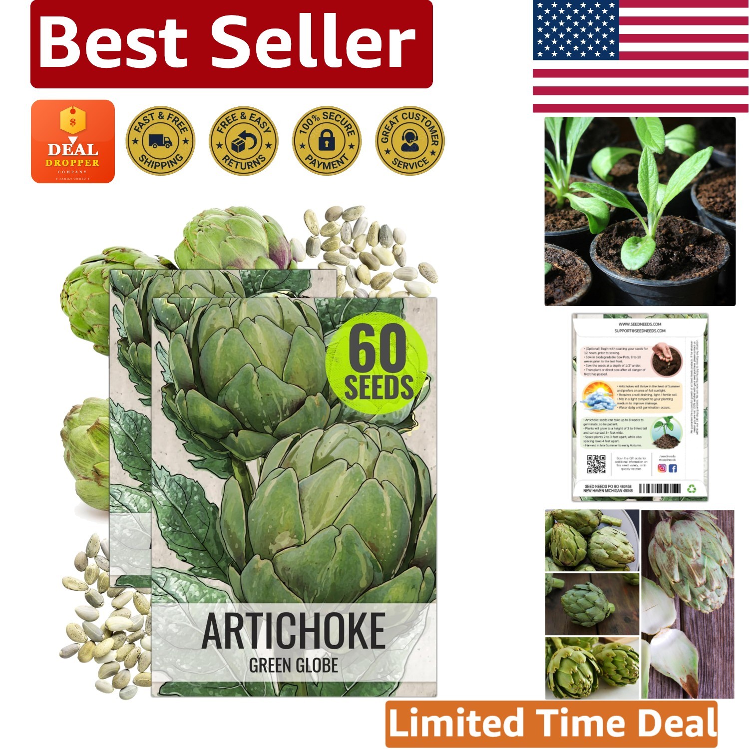 Green Globe Artichoke Seeds – Easy to Grow, Non-GMO, 2 Packs for Grown Gardeners
