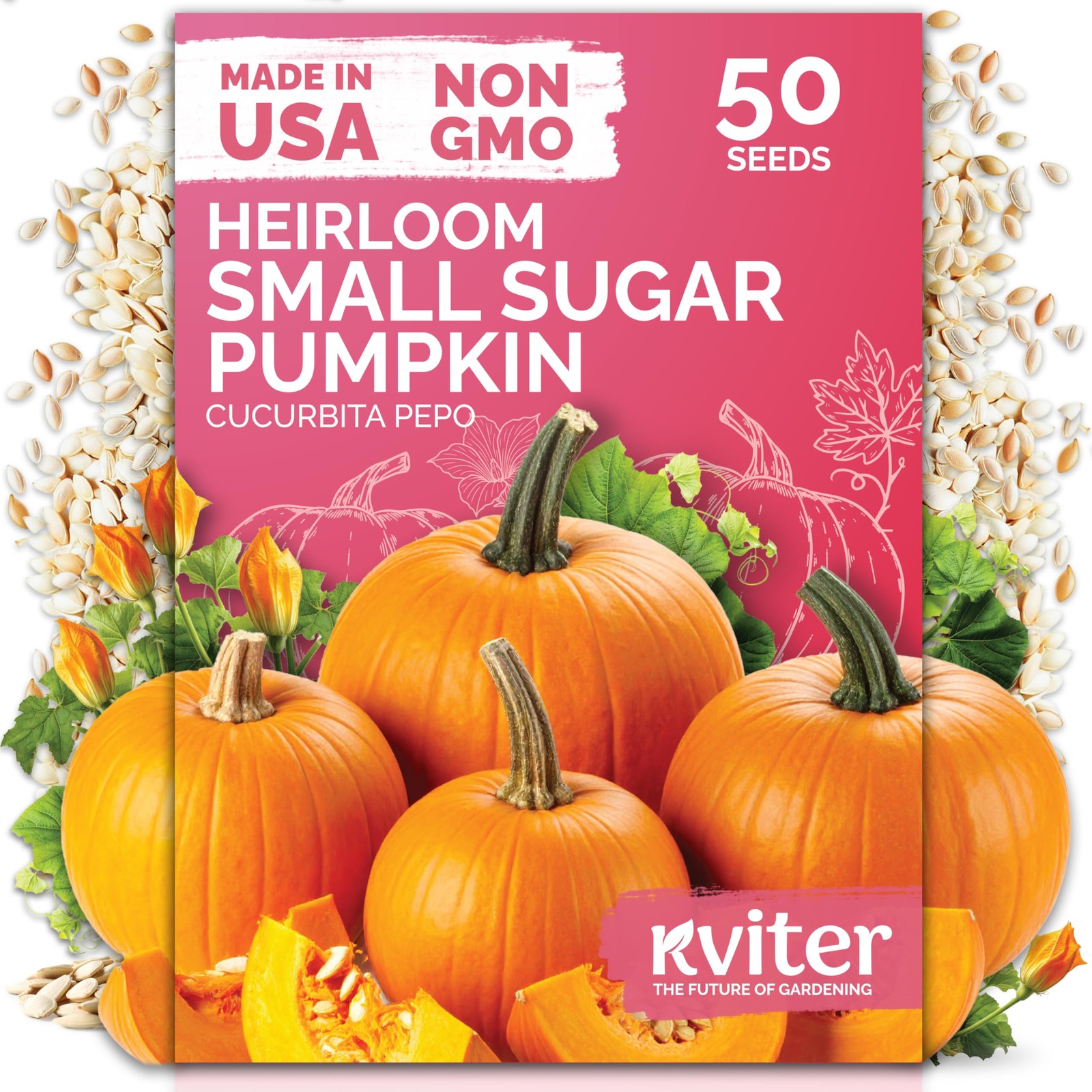 KVITER 50 Sugar Pumpkin Seeds (Cucurbita pepo)