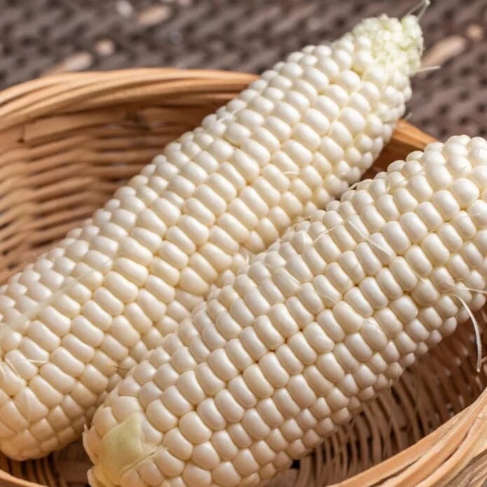 50pcs Sweet White Corn Seeds – Heirloom, Sweet, Open-Pollinated, Non-GMO.