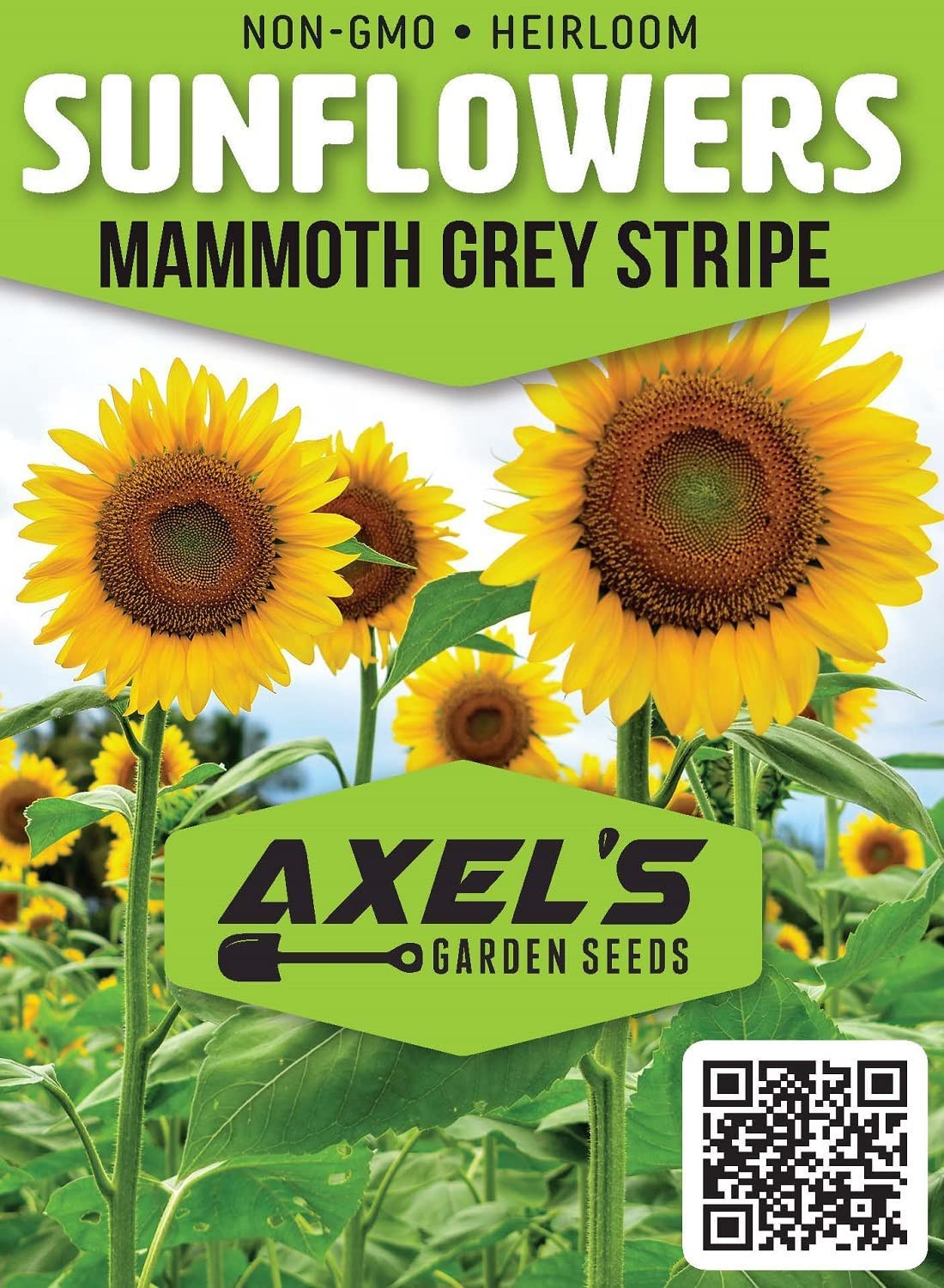 Mammoth Sunflower Seeds for Planting – Grow Giant Sun Flowers in Your Garden – 5