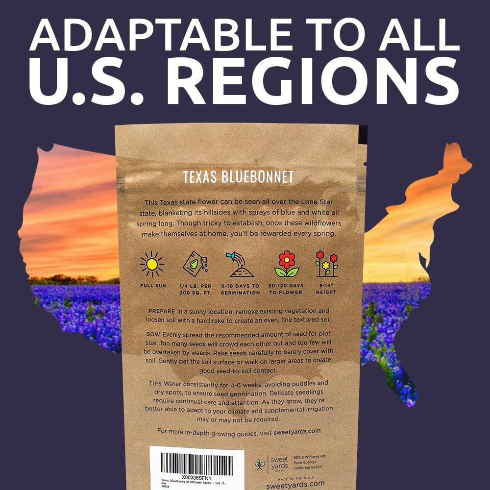 Texas Bluebonnet Wildflower Seeds – Bulk 1/4 Pound Bag – Over Pound, Blue