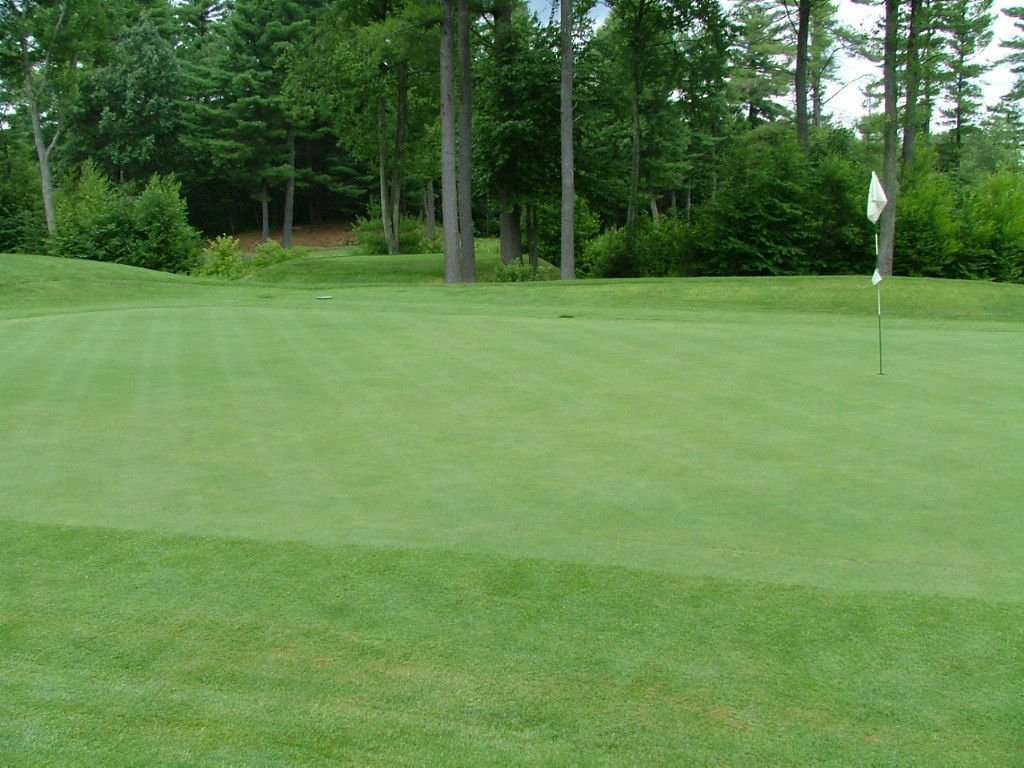 SeedRanch Creeping Bentgrass Seed – 5 Lbs. (Plants 10,000 Sq.ft.)