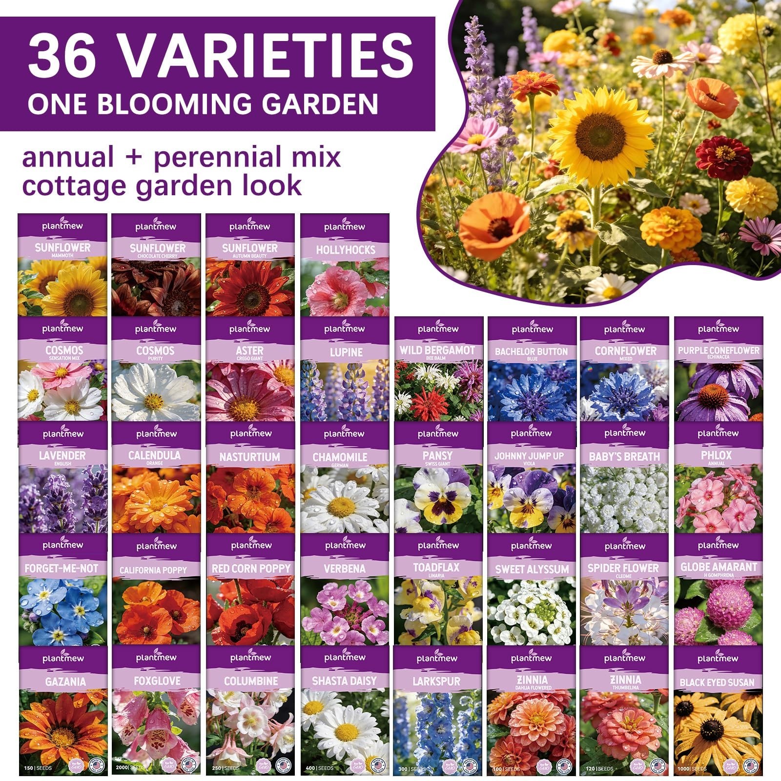 Wildflower Seed Mix 1/2 lb – 19830+ Non-GMO Perennial & Annual Flower Seeds for