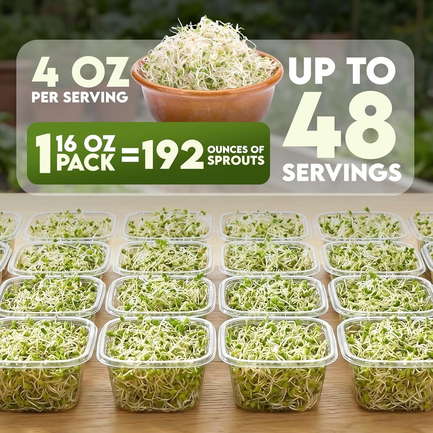 Alfalfa Seeds – Non-GMO Organic Sprout for Growing & Planting – Resealable B…