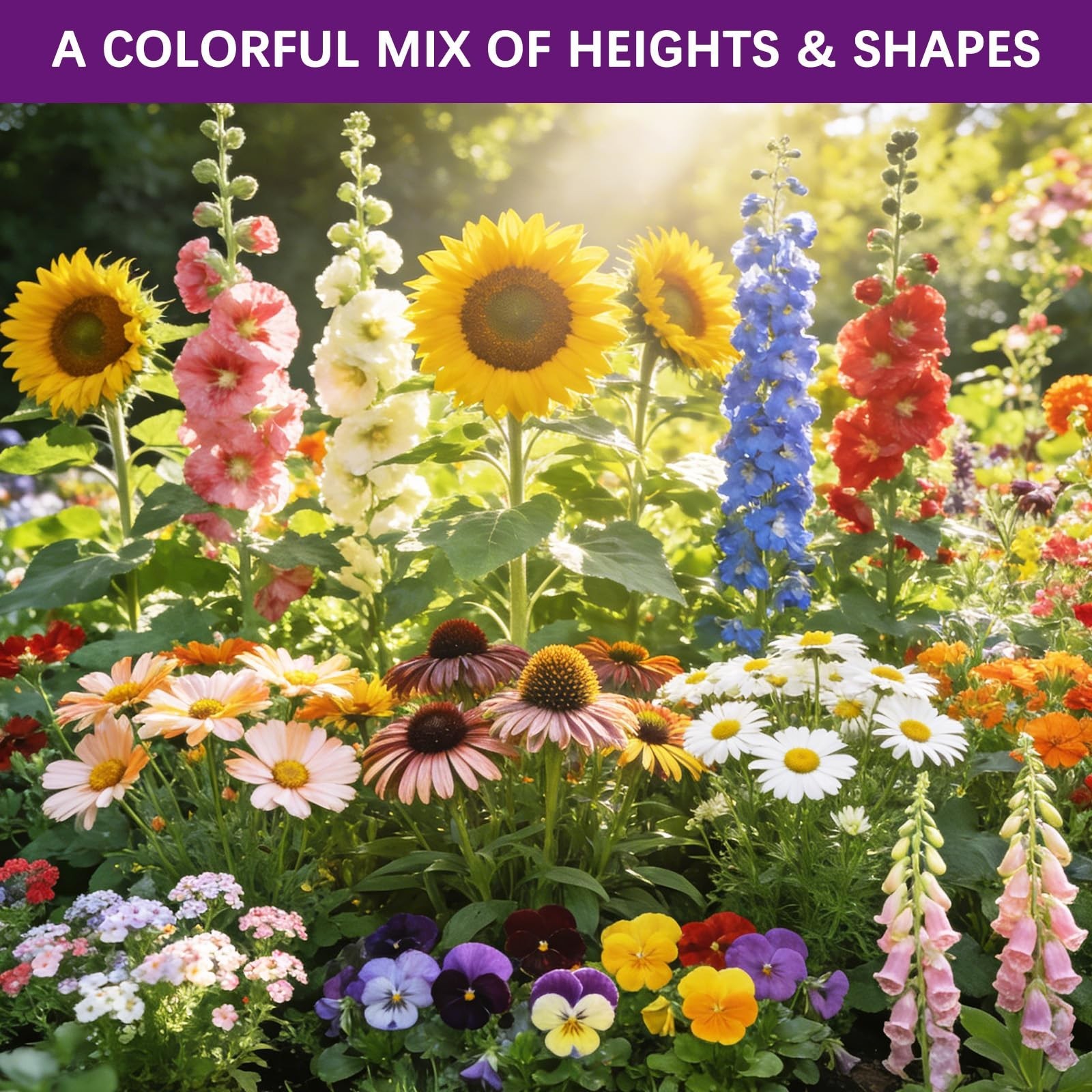 Wildflower Seed Mix 1/2 lb – 19830+ Non-GMO Perennial & Annual Flower Seeds for